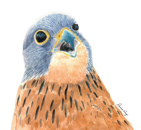 Watercolour Painting