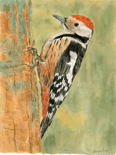 Watercolour Painting