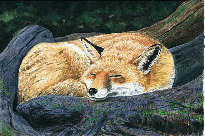 Watercolour Painting