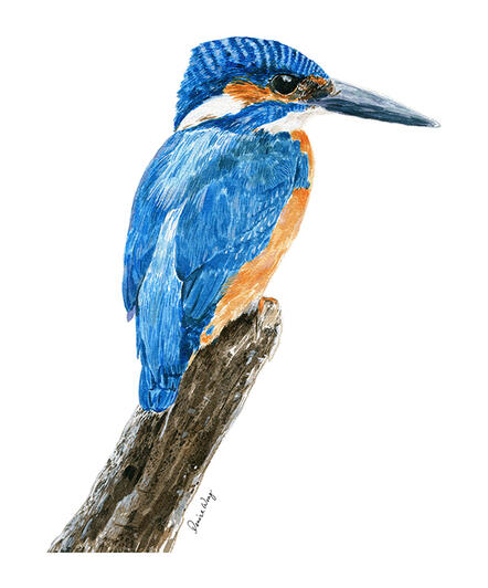 Watercolour Painting