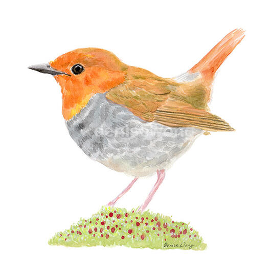 Watercolour Painting