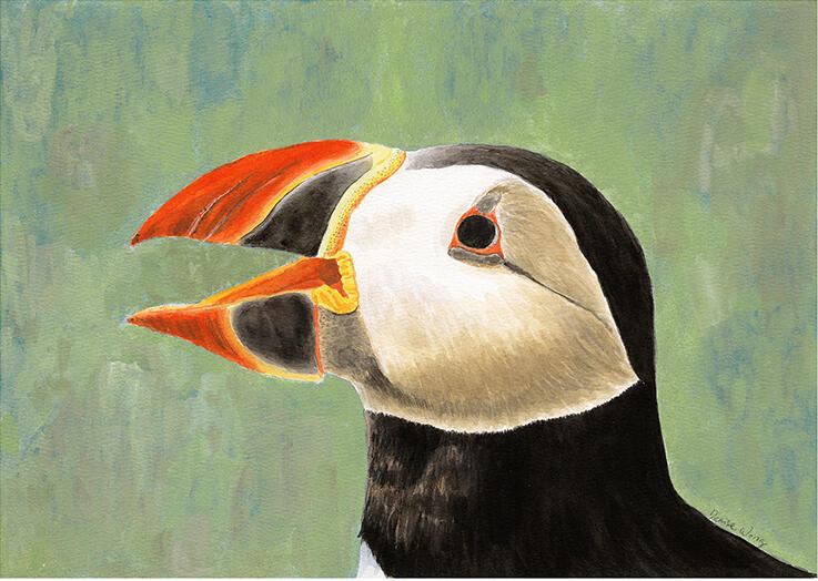 Watercolour Painting