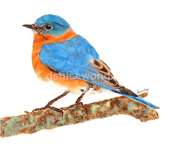 Watercolour Painting