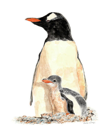 Watercolour Painting