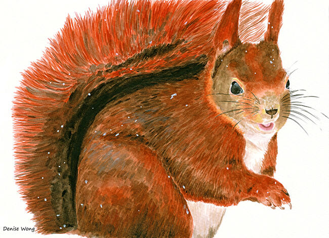 Watercolour Painting