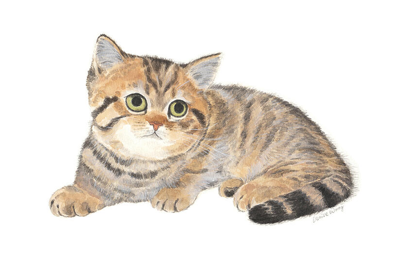 Watercolour Painting