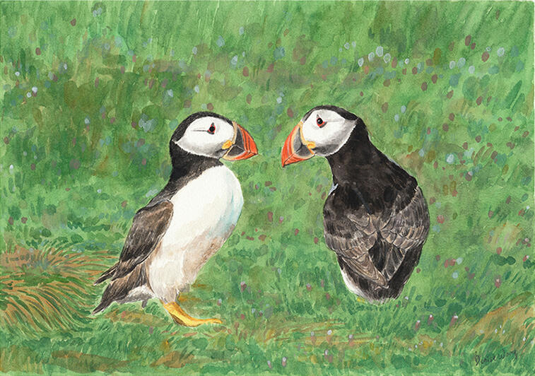 Watercolour Painting