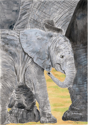 Watercolour Painting